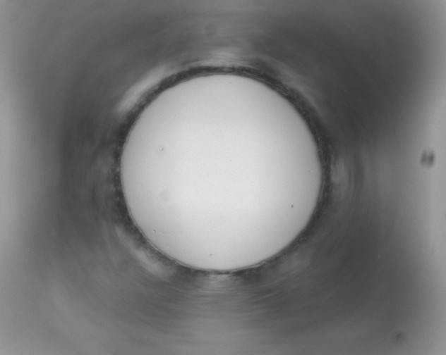 X0000113101304200909182128