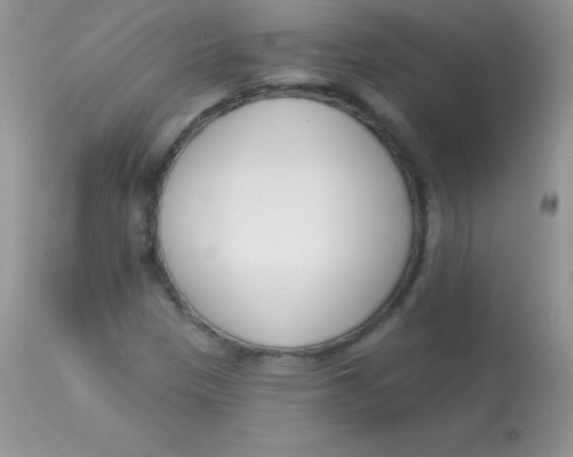 X0000113101305200909182128