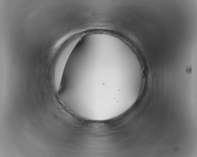 X0000113101310200909182128