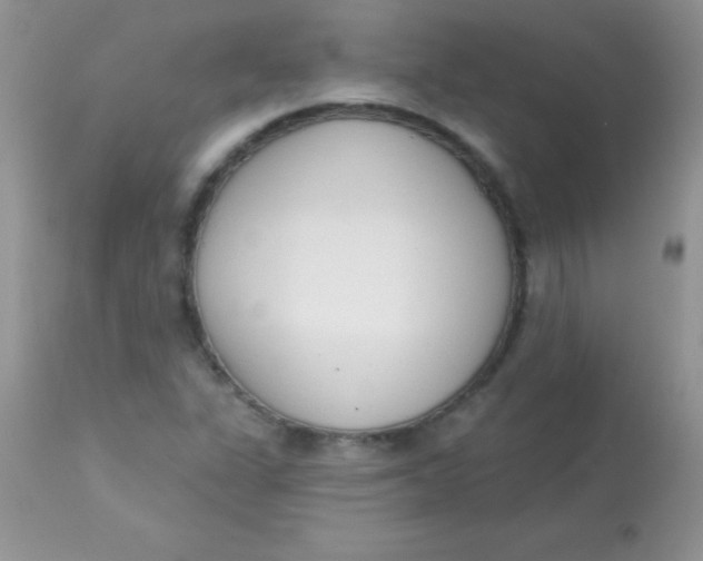 X0000113101311200909182128