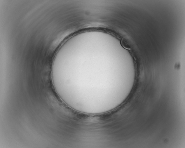 X0000113101313200909182128