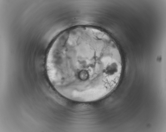 X0000113101314200909182129