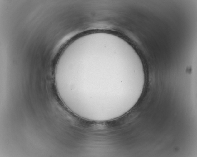 X0000113101315200909182129
