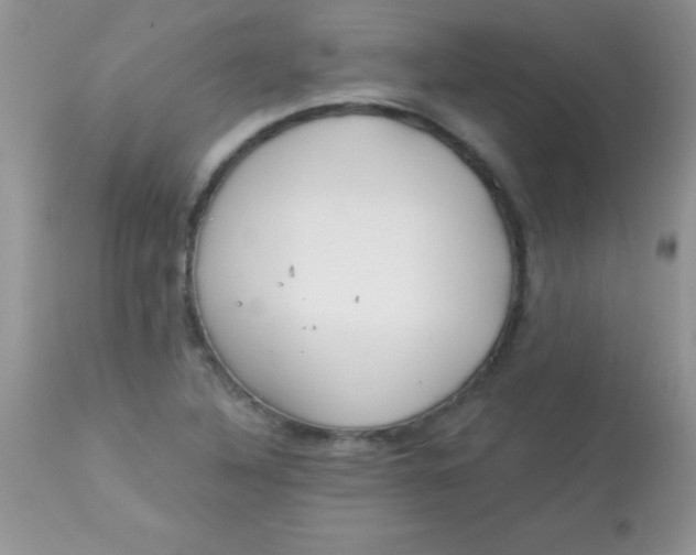 X0000113101316200909182129