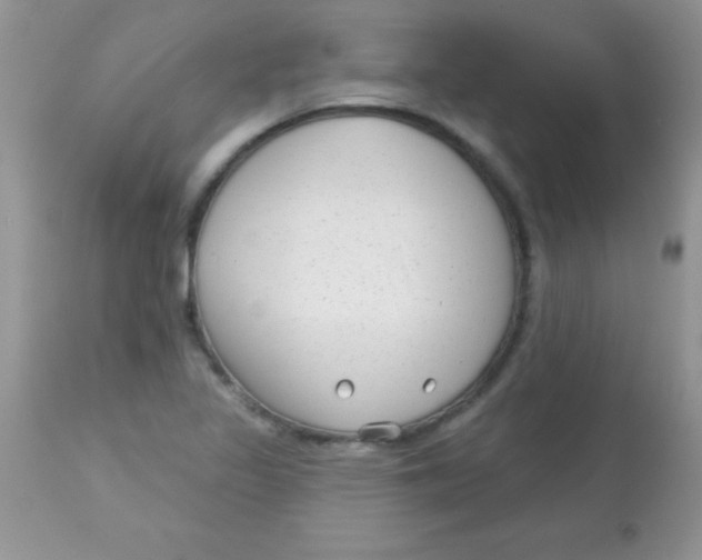 X0000113101317200909182129