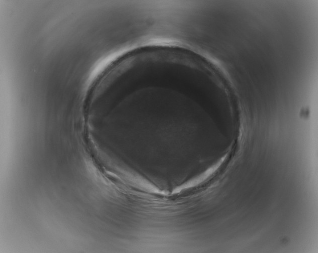 X0000113101319200909182129