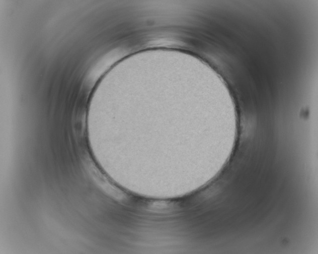 X0000113101322200909182129