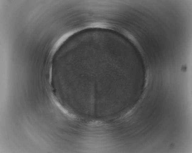 X0000113101323200909182129