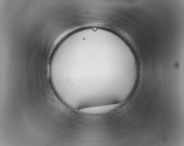 X0000113101324200909182129
