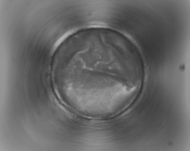X0000113101325200909182129