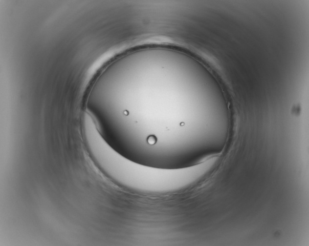 X0000113101326200909182129