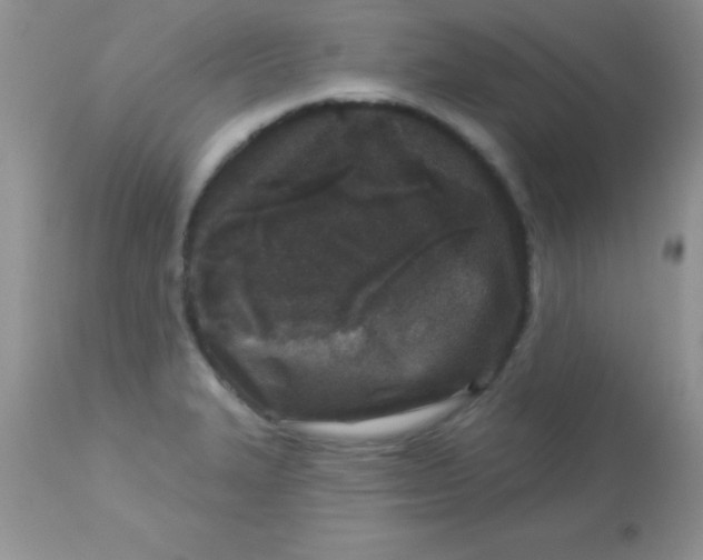 X0000113101327200909182129