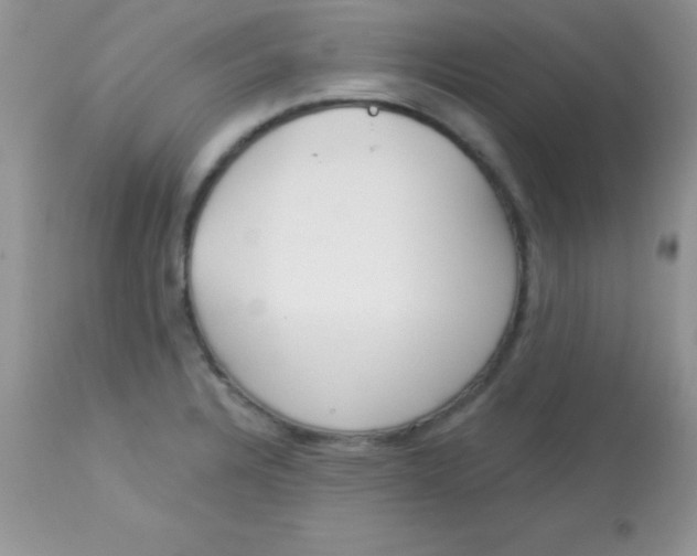 X0000113101328200909182129