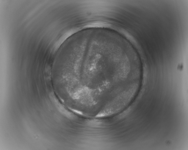 X0000113101329200909182129