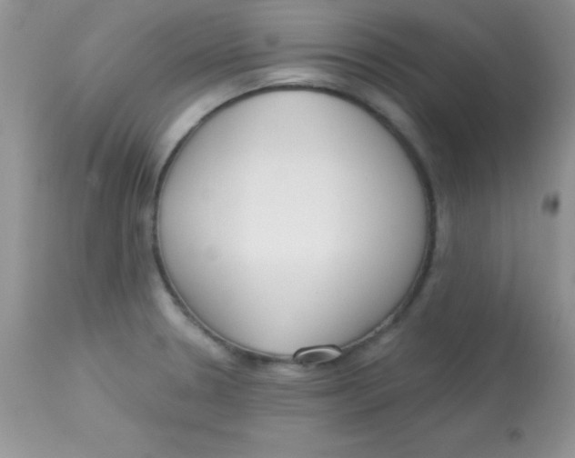 X0000113101330200909182129
