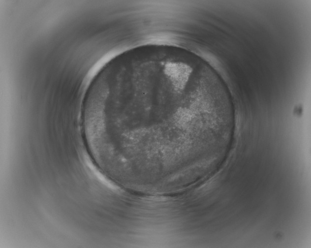 X0000113101331200909182129