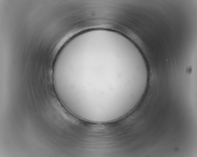 X0000113101332200909182129