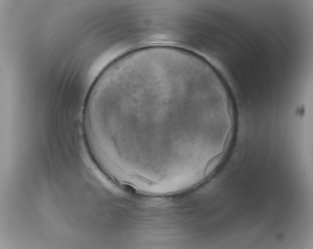 X0000113101333200909182129