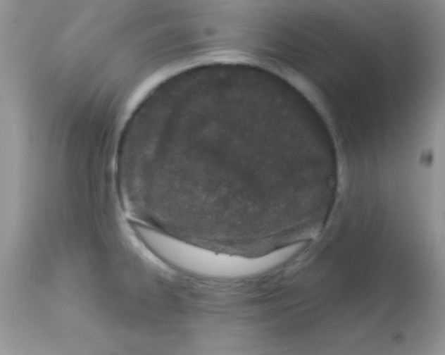 X0000113101334200909182129
