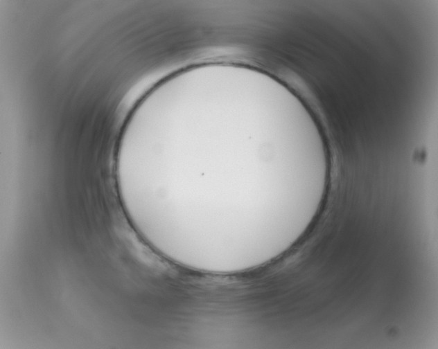 X0000113101336200909182129
