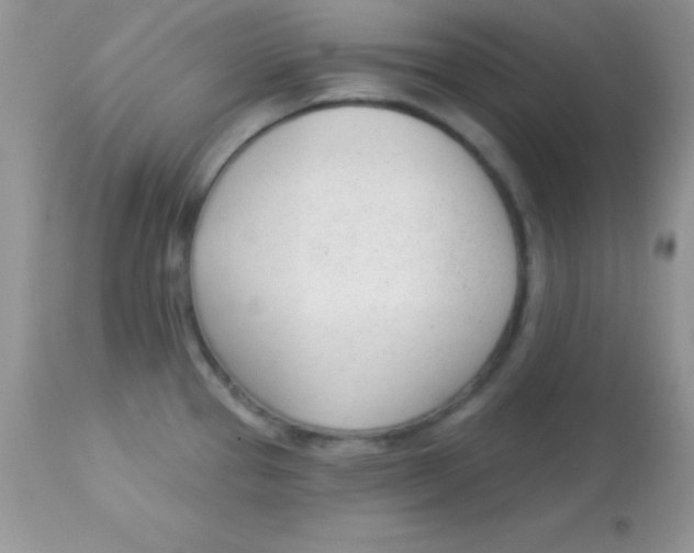 X0000113101337200909182129