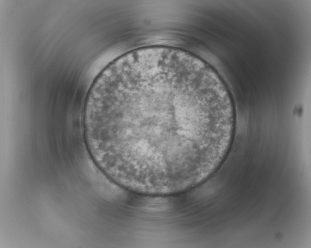 X0000113101338200909182129