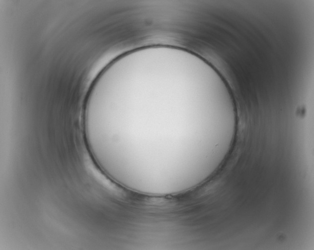 X0000113101339200909182129