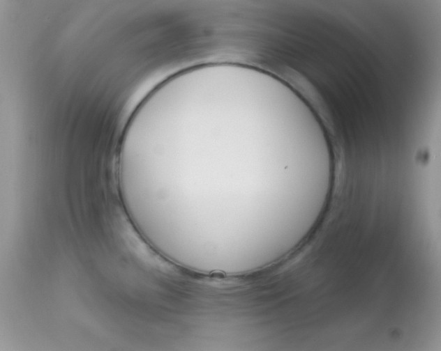 X0000113101340200909182129