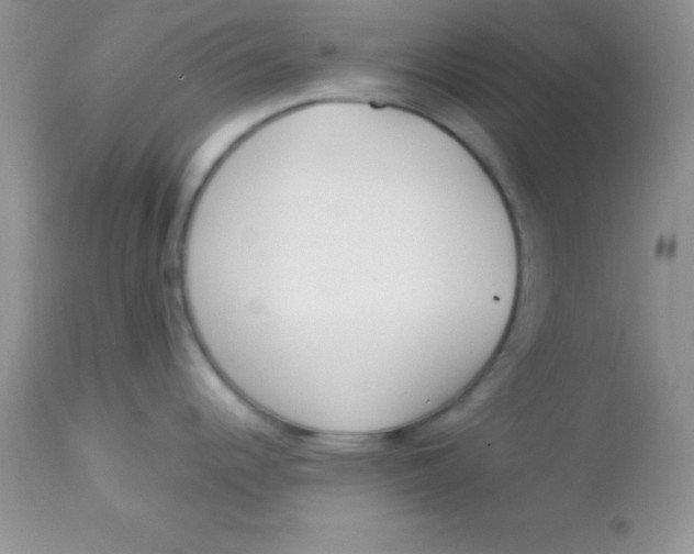 X0000113101344200909182129