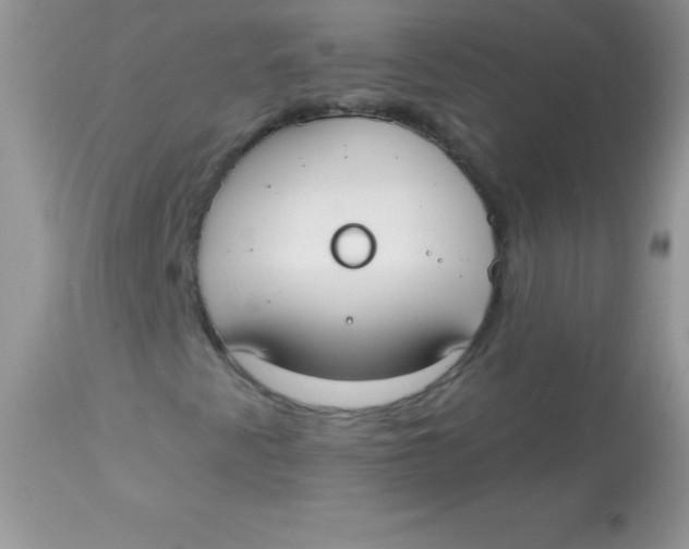 X0000113101345200909182128