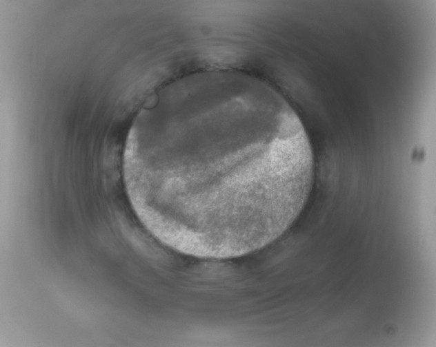 X0000113101346200909182128