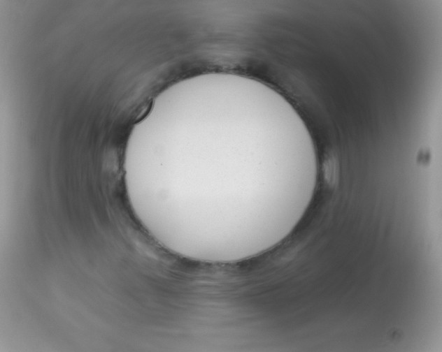 X0000113101347200909182128