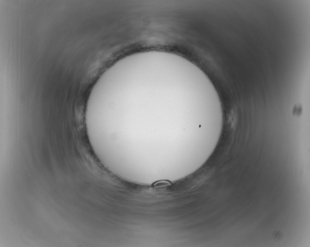 X0000113101348200909182128
