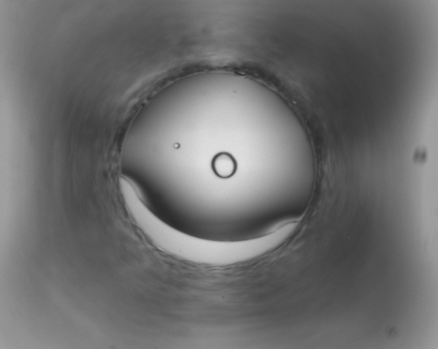 X0000113101349200909182128