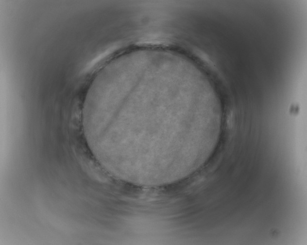 X0000113101350200909182128
