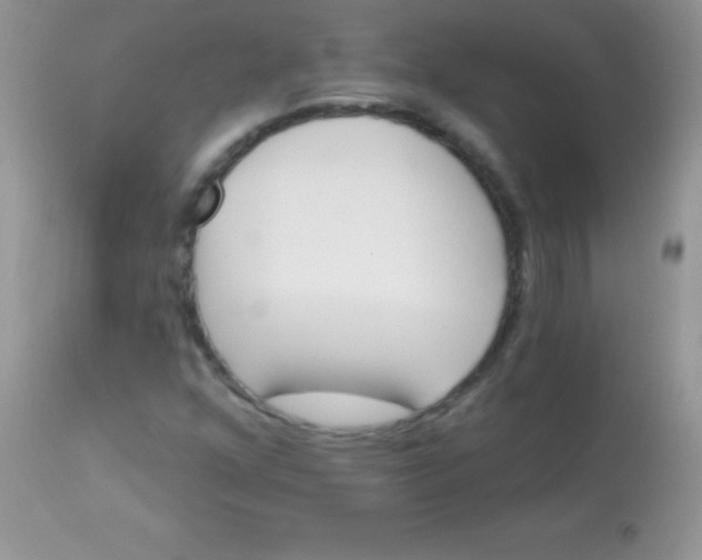 X0000113101352200909182128