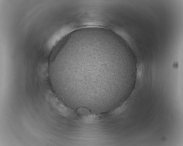 X0000113101357200909182128