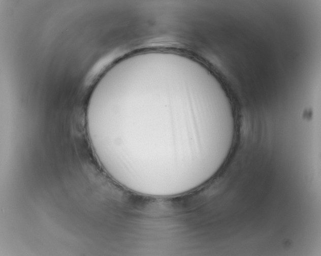 X0000113101358200909182128