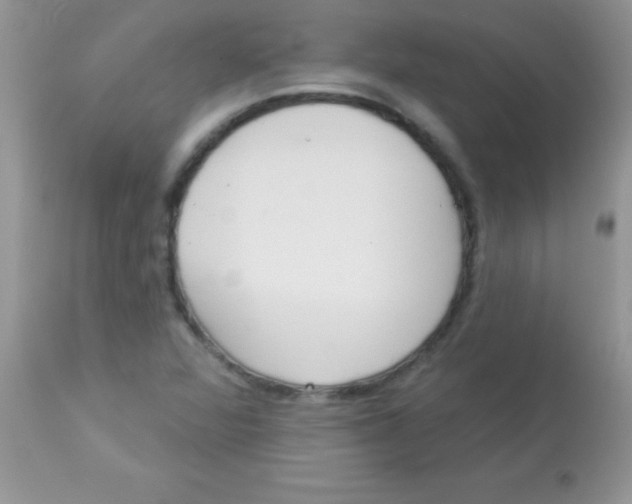 X0000113101360200909182128