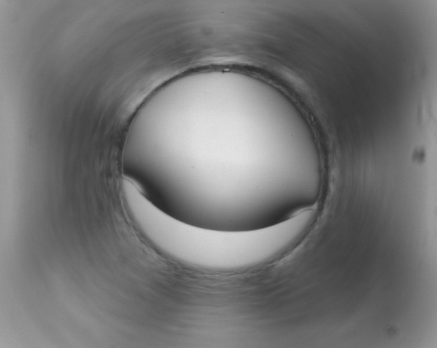 X0000113101361200909182128