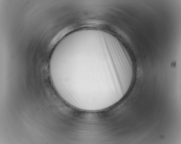 X0000113101362200909182128