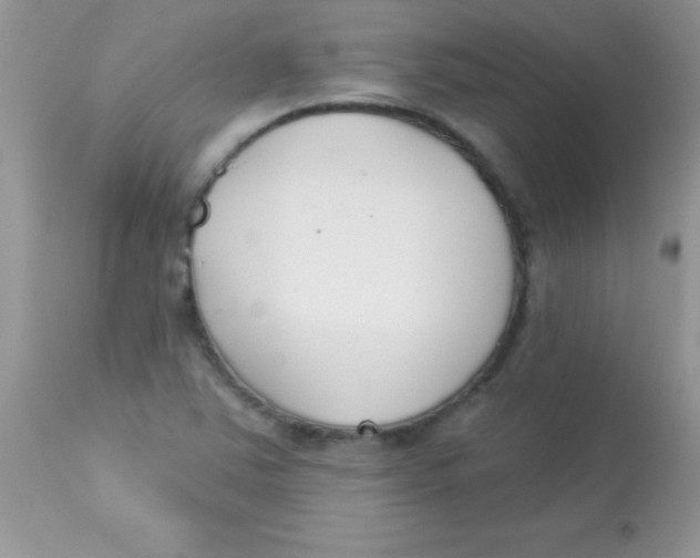 X0000113101363200909182128