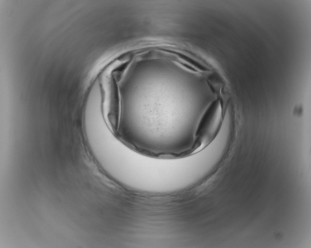 X0000113101365200909182128