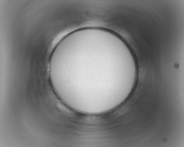 X0000113101366200909182128