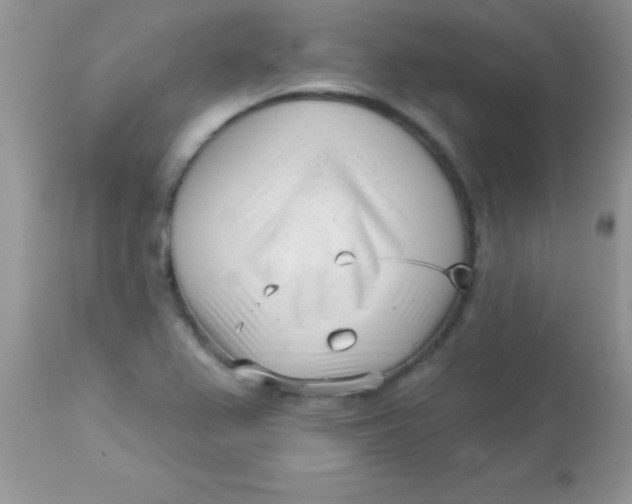 X0000113101367200909182128