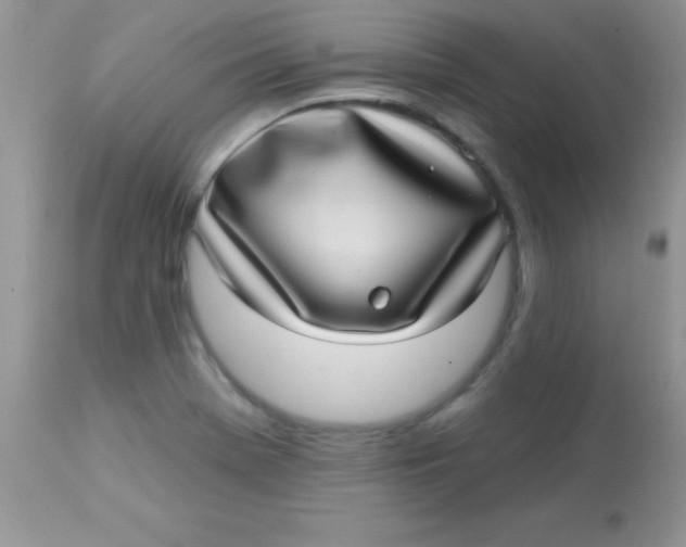 X0000113101369200909182128