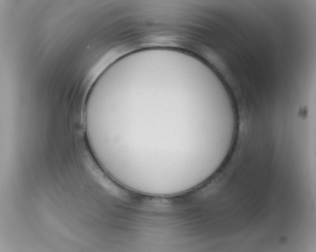 X0000113101370200909182128
