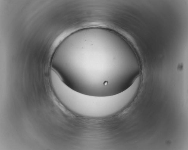 X0000113101373200909182128
