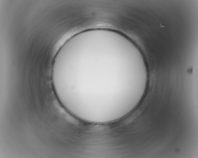 X0000113101374200909182128