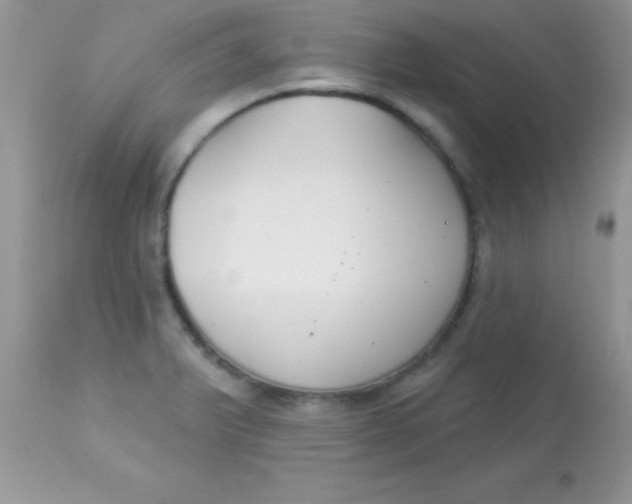 X0000113101375200909182128